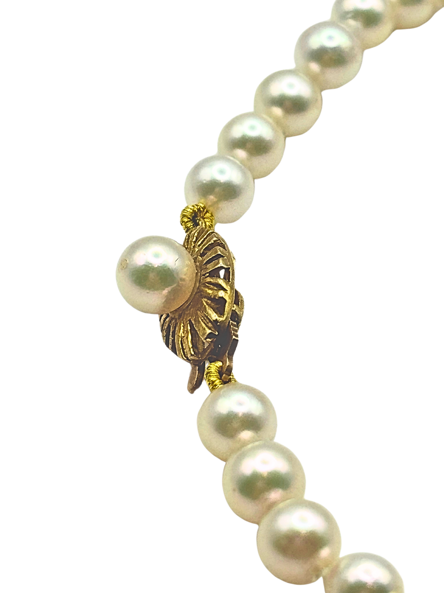 Freshwater Pearl Bracelet